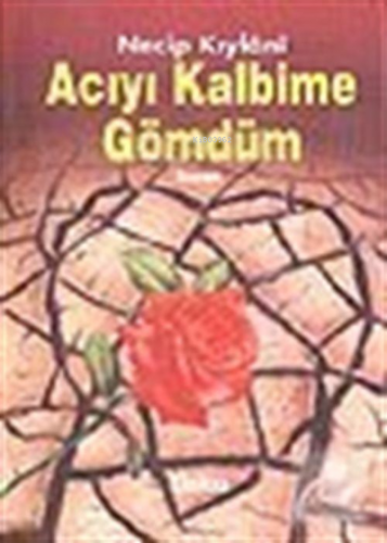 Acıyı Kalbime Gömdüm