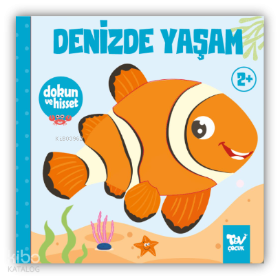 Dokun ve Hisset Denizde Yaşam