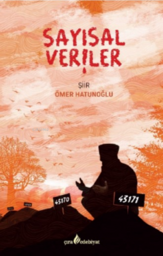 Sayısal Veriler