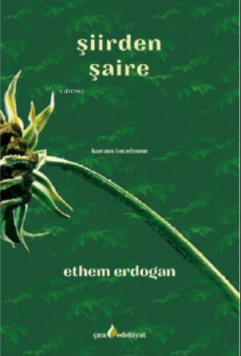 Şiirden Şaire